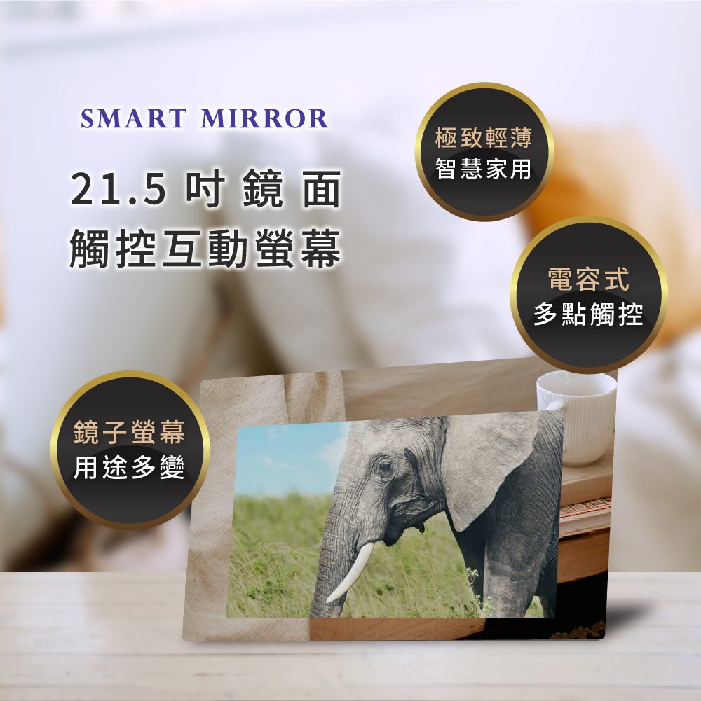 藍訊科技 Smart Mirror 21.5吋鏡面觸控互動螢幕 數位魔鏡 智慧鏡 智慧家用 試妝模擬 化妝魔鏡