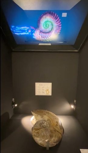 藍訊科技執行 國立臺灣博物館多媒體互動-可觸摸的復活菊石 透明顯示器三葉蟲3D動畫