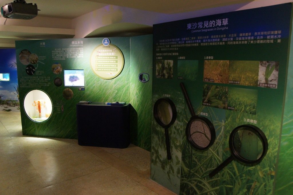 藍訊科技執行 臺灣博物館- 臺灣「礁」點‧東沙環礁特展 資通訊建置