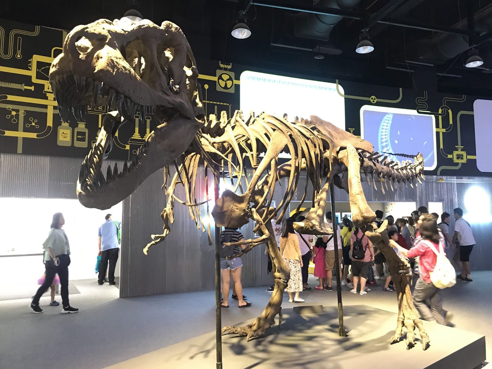 藍訊科技執行 科教館恐龍實驗室 復活任務 特展- 恐龍吃飽飽 互動遊戲單元