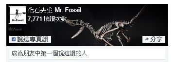 藍訊科技執行 化石先生官網製作