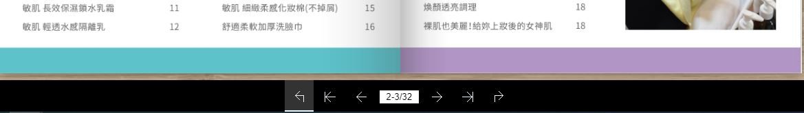 藍訊科技執行 新擎 電腦&手機版 翻頁電子書