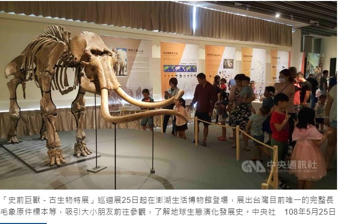 藍訊科技執行 史前巨獸古生物化石 澎湖首展驚奇_與化石先生攜手合作