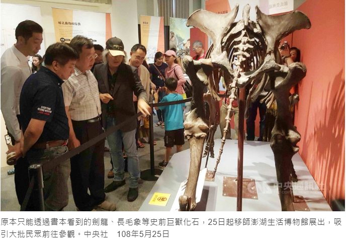 藍訊科技執行 史前巨獸古生物化石 澎湖首展驚奇_與化石先生攜手合作