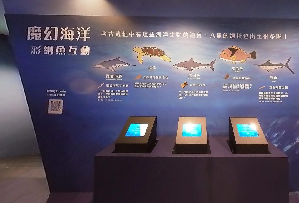 藍訊科技執行 新北市立十三行博物館 「魔幻海洋-彩繪魚互動」-彩繪塗鴉變動畫 3D彩繪魔法 彩繪投影 虛擬實境互動