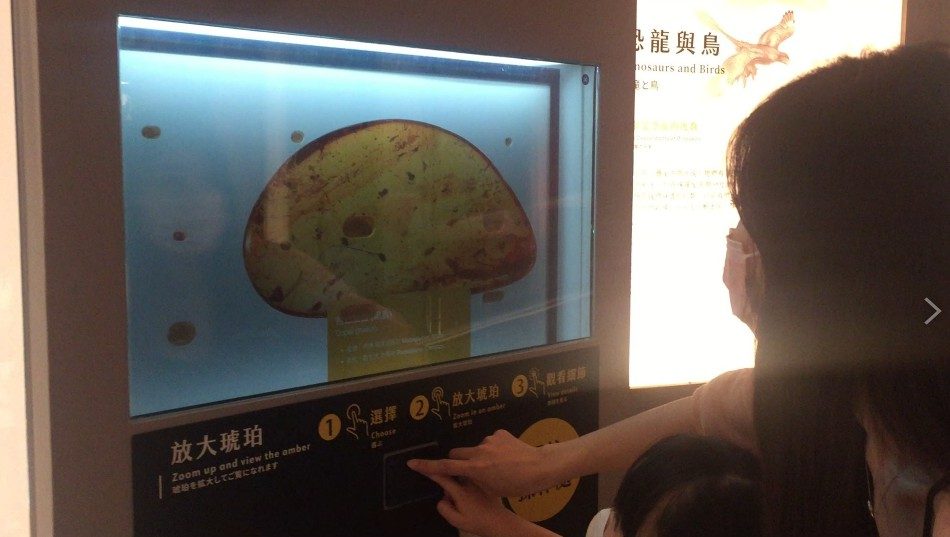 藍訊科技執行 國立臺灣博物館【透明顯示器 x 琥珀高倍率顯微圖像】 超越顯微鏡的視覺互動體驗