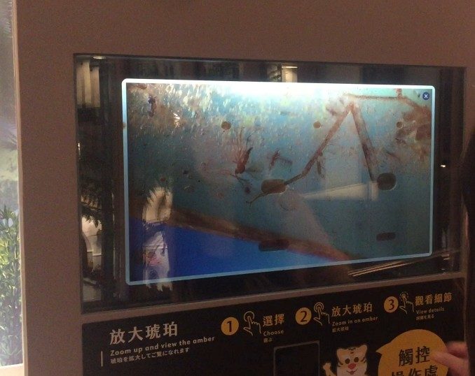藍訊科技執行 國立臺灣博物館【透明顯示器 x 琥珀高倍率顯微圖像】 超越顯微鏡的視覺互動體驗