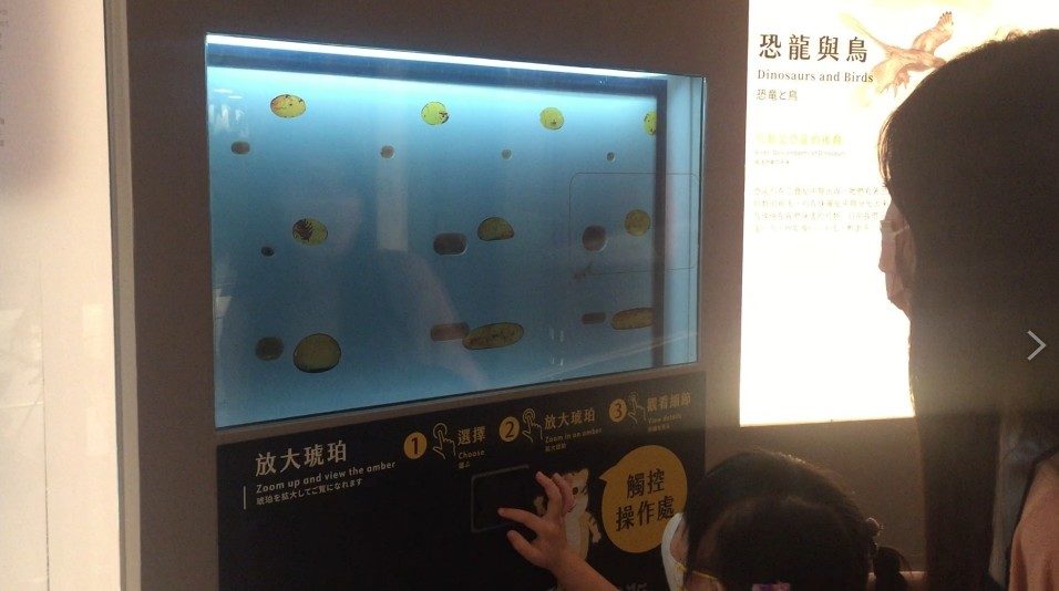 藍訊科技執行 國立臺灣博物館【透明顯示器 x 琥珀高倍率顯微圖像】 超越顯微鏡的視覺互動體驗