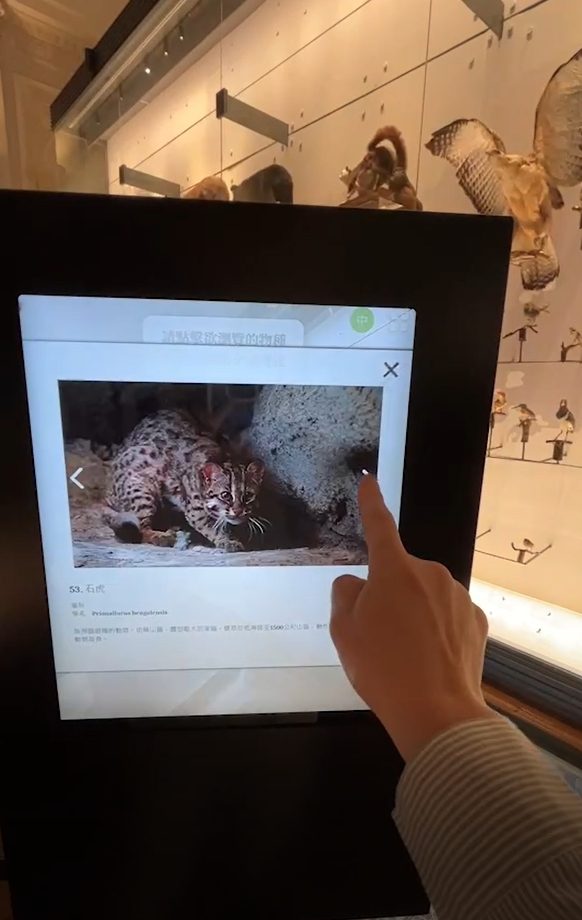 藍訊科技執行 國立臺灣博物館 生物光牆展示區 MR混合實境定位觸控導覽