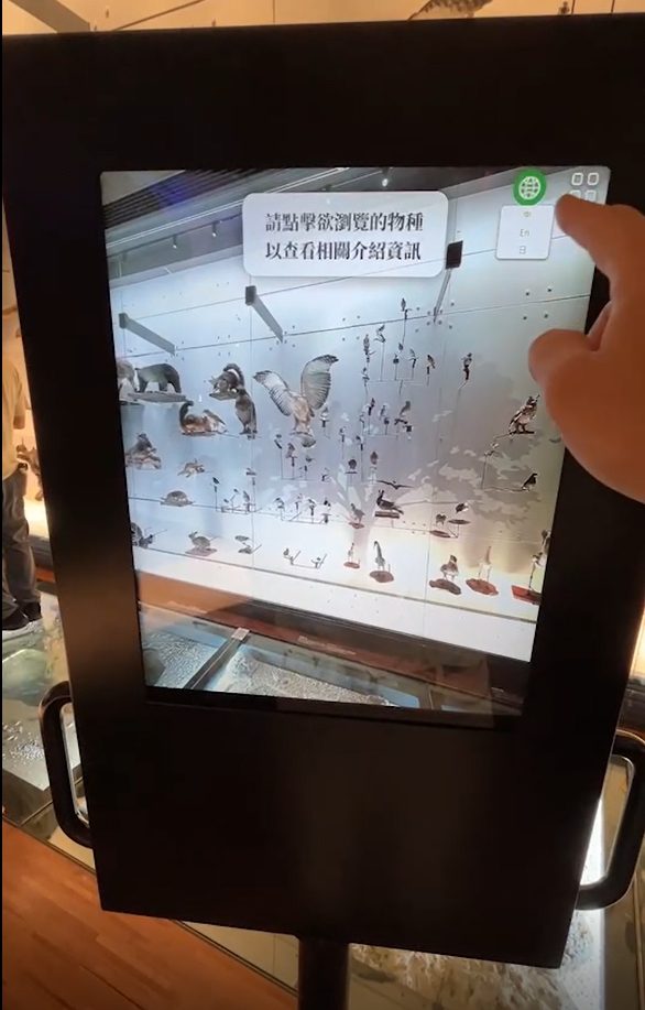 藍訊科技執行 國立臺灣博物館 生物光牆展示區 MR混合實境定位觸控導覽