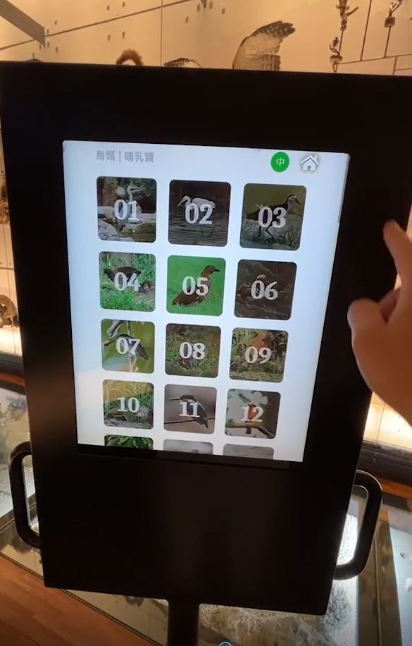 藍訊科技執行 國立臺灣博物館 生物光牆展示區 MR混合實境定位觸控導覽