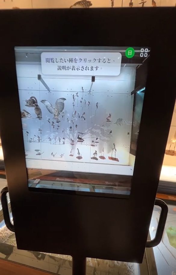 藍訊科技執行 國立臺灣博物館 生物光牆展示區 MR混合實境定位觸控導覽