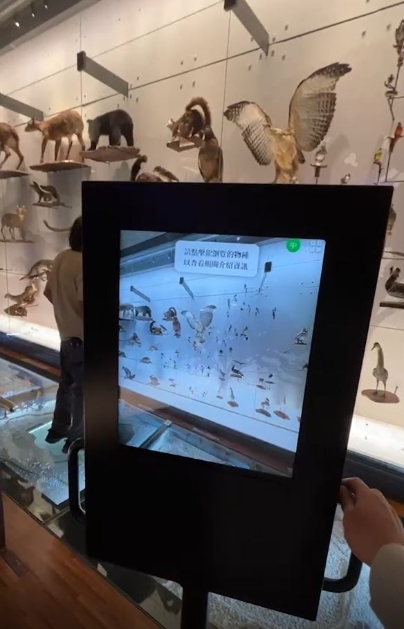 藍訊科技執行 國立臺灣博物館 生物光牆展示區 MR混合實境定位觸控導覽