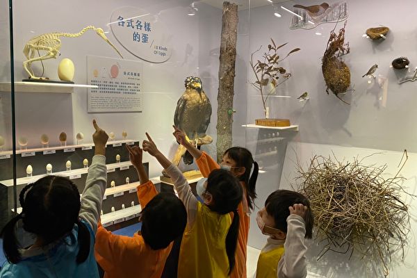 藍訊科技執行 國立海洋科技博物館-海有個鳥地方特展 多媒體互動遊戲 展場互動科技