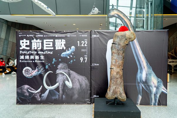藍訊科技執行-蘭陽博物館-22吋透明顯示器 三葉蟲虛實整合展品與3d動畫製作